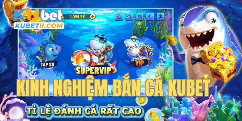 Kinh nghiệm săn cá đỉnh cao